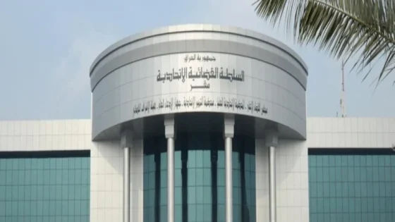 بقرار بالإجماع.. المحكمة الاتحادية تقضي بعدم دستورية تعديل قانون جوازات السفر