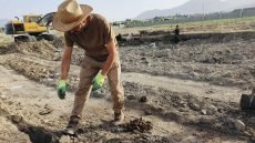 البيئة تطالب بدعم مالي لضمان استدامة عمليات تطهير الأراضي