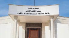 جنايات الكرخ: السجن المؤبد بحق مدان بحوزته 14 كيساً من مادة المثيل امفيتامين المخدرة