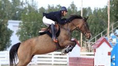 الفارس العراقي فالح الدليمي يحقق ذهبية في بطولة هولندا الدولية