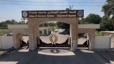 حريق واسع خلف كلية الطب البيطري في أبو غريب