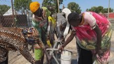 الأمم المتحدة: 2 مليار شخص بلا مياه شرب آمنة