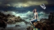 حوريات البحر.. أسطورة الجمال والغموض