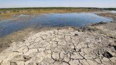 انتقادات في ميسان لاستغلال جفاف الأنهر في الدعاية الانتخابية