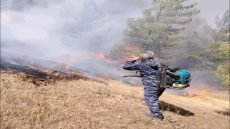 الدفاع المدني في كردستان: اندلاع حريق يلتهم 600 دونم في منطقة شارباژير بمحافظة السليمانية