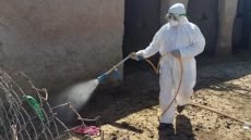 الصحة تسجل 296 إصابة بالحمى النزفية في العراق