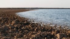 البيئة تحذر من استمرار انخفاض مناسيب بحيرة ساوة