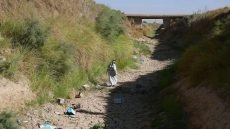 صور توثق آثار الجفاف في الأراضي الزراعية جنوبي بابل