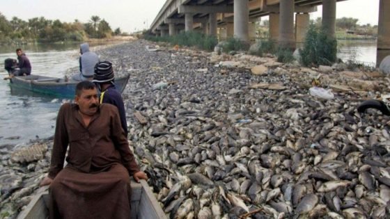 منتجو الأسماك يناشدون الحكومة إيقاف إجراءات تهدد الثروة السمكية