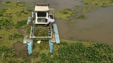 الموارد المائية تطلق حملة لإزالة زهرة النيل من نهر الفرات في ذي قار