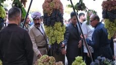 مهرجان العنب في رواندوز يسلط الضوء على المنتج المحلي