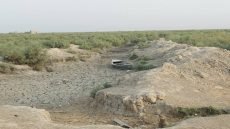 جفاف الأهوار يهدد الحياة جنوب العراق