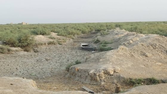 جفاف الأهوار يهدد الحياة جنوب العراق