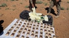 إحباط تهريب 198 ألف حبة كبتاغون في الأنبار