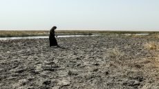 A farmer walks on dry patches exposed by the retreating water in the drought-striken Chibayish marshes in Iraq's southern Dhi Qar province on August 19, 2025. Persistent drought has decimated buffaloes herd and shrunk the marshes, threatening a millennia-old way of life in the wetlands of southern Iraq. Declining rainfall and soaring temperatures that increase evaporation have added to upstream dams built in Turkey and in Iran that have dramatically reduced the flow of the Tigris and Euphrates rivers. (Photo by Asaad NIAZI / AFP) (Photo by ASAAD NIAZI/AFP via Getty Images)