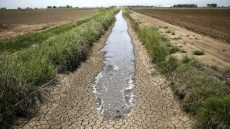 انخفاض تاريخي في معدلات الأمطار بإيران بنسبة 56% يهدد بأزمة مياه غير مسبوقة