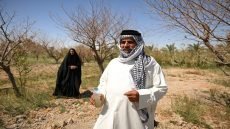 الجفاف وارتفاع نسبة الملوحة يهددان الزراعة والمواشي في الاهوار جنوبي العراق