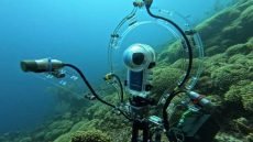 أداة تكشف هوية الأسماك من أصواتها!