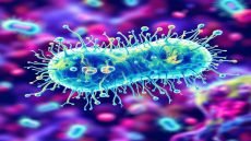 الصحة العالمية تحذر من تفشي البكتيريا المقاومة للمضادات الحيوية التي تهدد فعالية العلاجات الطبية وتحول الإصابات البسيطة والالتهابات الشائعة إلى حالات قاتلة.