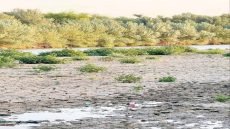 جفاف شط البدعة في الشطرة بذي قار نتيجة تراجع الإيرادات المائية