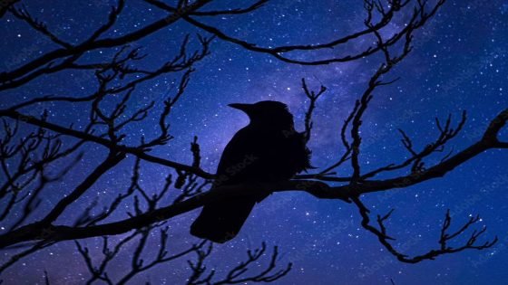الغراب من أذكى الطيور في العالم، ويمكنه تقليد صوت الإنسان بدرجة محدودة!