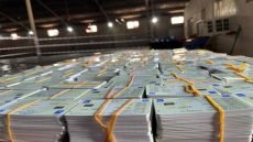 الأمن الوطني يعتقل 46 متهمًا ببيع وشراء البطاقات الانتخابية ويضبط 1841 بطاقة في أربع محافظات