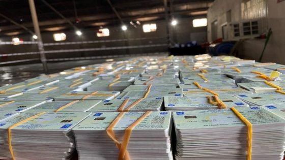 الأمن الوطني يعتقل 46 متهمًا ببيع وشراء البطاقات الانتخابية ويضبط 1841 بطاقة في أربع محافظات
