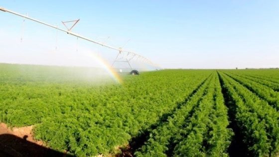الزراعة تصادق على الخطة الشتوية بمساحة 3.5 مليون دونم وتعتمد على المياه الجوفية