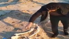 العثور على مقبرة جماعية في جزيرة الشيب.. وبدء الإجراءات الرسمية لكشف الحقائق