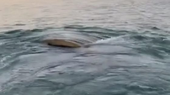 نهر دجلة يكشف عن سفينة عثمانية غارقة منذ أكثر من قرن شمال العراق