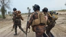 عملية أمنية معقدة في بابل: القبض على تاجر مخدرات خطير بعد اشتباك دام ثلاث ساعات واحتجاز رهائن ومحاولات هروب فوق أسطح المنازل