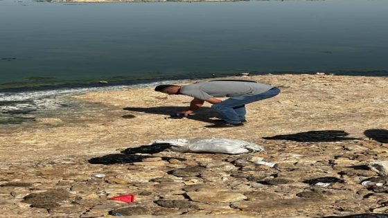 تربة بحر النجف خالية من الملوثات الاشعاعية وتراكيز غاز الرادون ضمن المستويات الطبيعية 