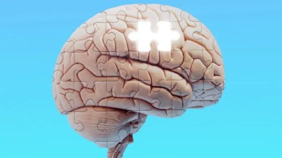 دراسة جديدة: انهيار شبكات حماية الدماغ قد يفسّر فقدان مرضى ألزهايمر للذاكرة الاجتماعية