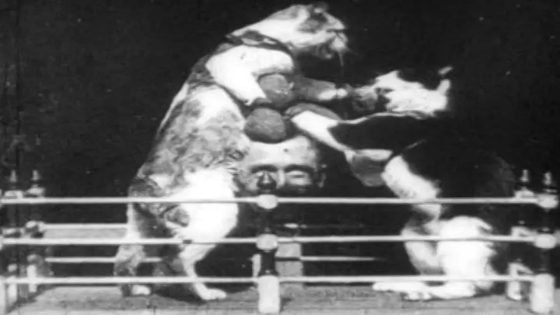 في عام 1894، صوّر توماس إديسون أول “فيديو قطط” في التاريخ داخل استوديوه،