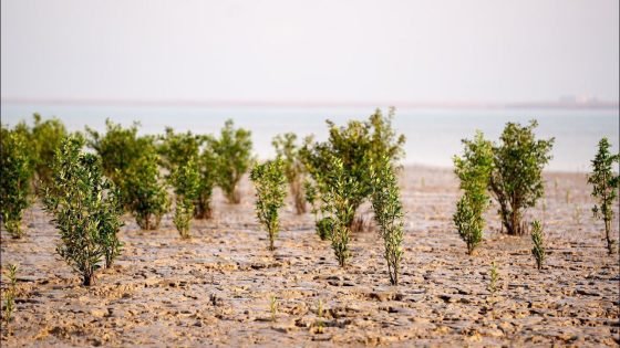 وزير البيئة: مشروع المانغروف في البصرة خطوة استراتيجية لتعزيز التكيّف المناخي