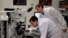 علماء روس يطوّرون تقنية متقدمة لزراعة الأوعية الدموية والأعضاء اصطناعياً