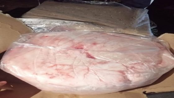 شرطة ديالى تضبط شاحنة محملة بكميات كبيرة من الشحوم المجمدة المهربة دون موافقات رسمية أو شهادة فحص صحي