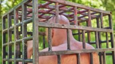 الصين تلجأ إلى معسكرات مغلقة لإنقاص الوزن السريع وسط جدل واسع حول ما يُعرف بـ”سجون السمنة”