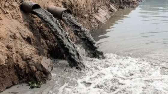 تحذير حقوقي: أنهار العراق تتحول إلى مكبات نفايات وتلوث يتجاوز الحدود الآمنة بـ80%