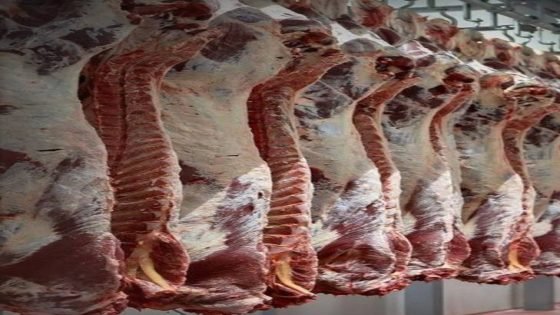 إتلاف 27 طناً من اللحوم المنتهية الصلاحية في اليوسفية ببغداد.