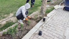 العتبة العباسية المقدسة تطلق حملة واسعة لتشجير طريق الزائرين “يا حسين” بين كربلاء والنجف