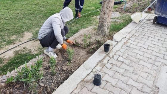 العتبة العباسية المقدسة تطلق حملة واسعة لتشجير طريق الزائرين “يا حسين” بين كربلاء والنجف