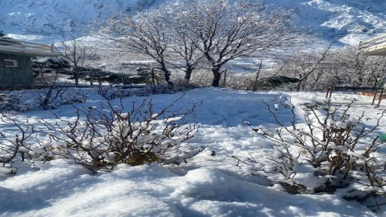 الثلوج تغطي مرتفعات منطقة ميركبان في محافظة السليمانية