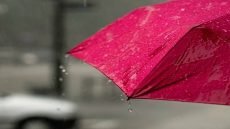 طقس العراق: أمطار متفرقة وانخفاض درجات الحرارة يوم غد.