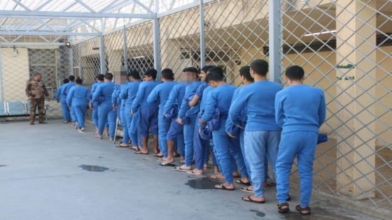 وزارة العدل: إطلاق سراح 899 نزيلاً من سجون دائرة الإصلاح العراقية خلال كانون الأول الماضي