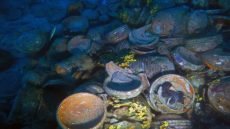 في عام 1901 عثر غواصون قبالة سواحل جزيرة أنتيكيثيرا اليونانية على حطام سفينة رومانية ووجدوا بداخلها جهازاً برونزياً متآكلاً يحتوي على تروس معقدة بعد عقود من الدراسة بالأشعة السينية تبيّن أن هذا الجهاز هو أول كمبيوتر تناظري في التاريخ ويعود لعام 150 قبل الميلاد كان اليونانيون يستخدمونه للتنبؤ بالكسوف والخسوف ومواقع الكواكب بدقة مذهلة وهو تعقيد تكنولوجي لم تصل إليه البشرية مرة أخرى إلا بعد 1500 عام.