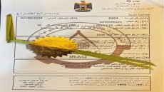 فريق بحثي مشترك يحصل على براءة اختراع لنظام ذكي يكشف مبكراً تشوهات الجسور