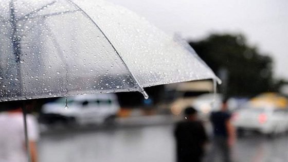 الطقس: أمطار متوسطة إلى غزيرة مع عواصف رعدية وبروق في مناطق متعددة يوم الاحد تشمل المنطقتين الوسطى والجنوبية والشمالية.