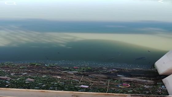 تحذيرات من عبور بقعة مياه ملوثة من سدة الكوت باتجاه ميسان 