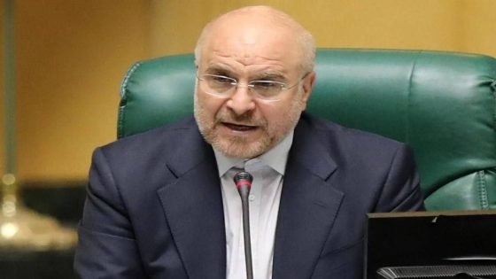 وكالة تسنيم عن قاليباف: التحركات السرية والعلنية لأمريكا تؤشر سعيها لجولة جديدة من العمليات العسكرية.